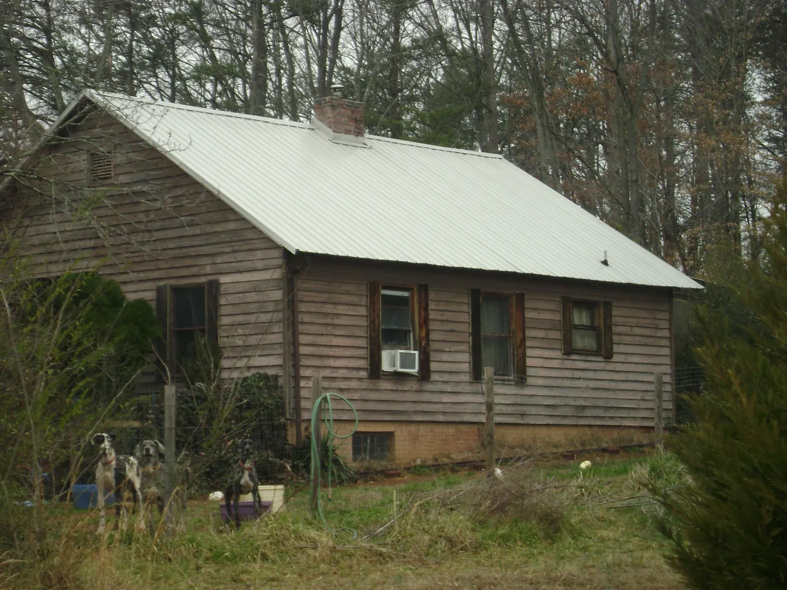 White metal roof on an old wood sided farmhouse, from a Asphalt Shingle Roof Repair job in Gasburg